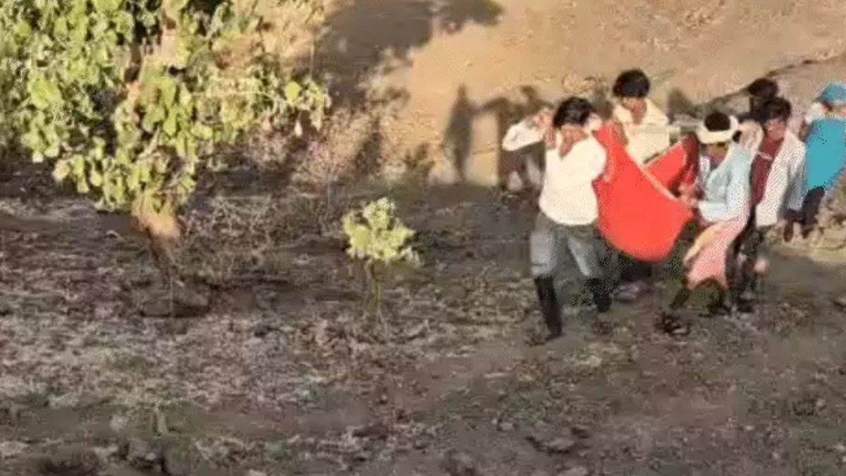 naidunia_image